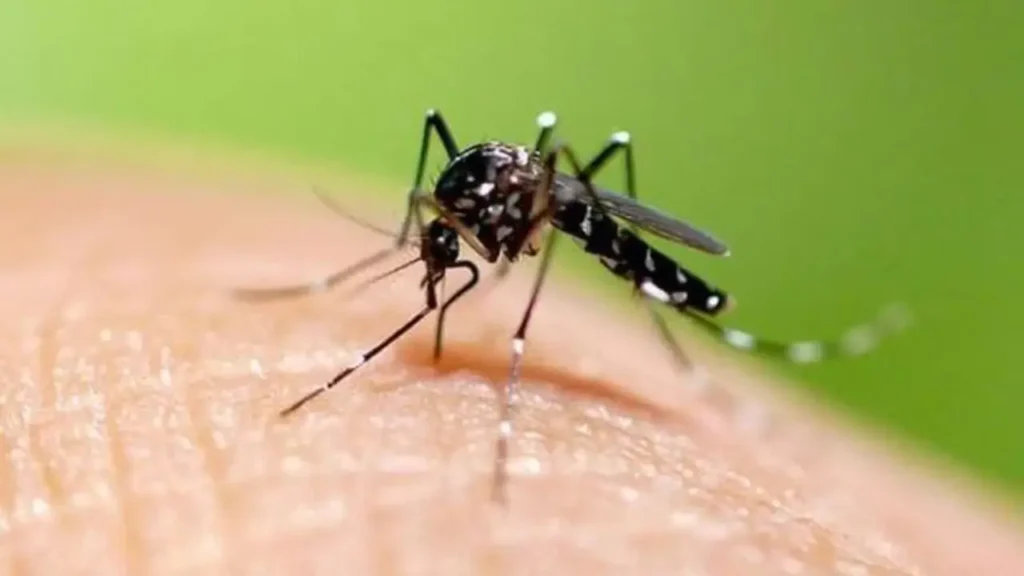 El dengue ocupa el tercer lugar en términos de casos de dengue en el país de todo Centroamérica, con un aumento alarmante del 50 % en los casos durante la semana epidemiológica más reciente, según información del doctor Carlos Umaña.