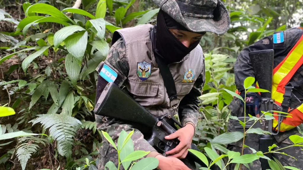 Una plantación de dos hectáreas de extensión con arbustos de hoja de coca, un vivero con dos mil plántulas de coca y una infraestructura básica utilizada para almacenar precursores químicos, han sido aseguradas y localizadas en el sector Sur de San Marcos, La Masica, Atlántida y el sector norte de Olanchito.