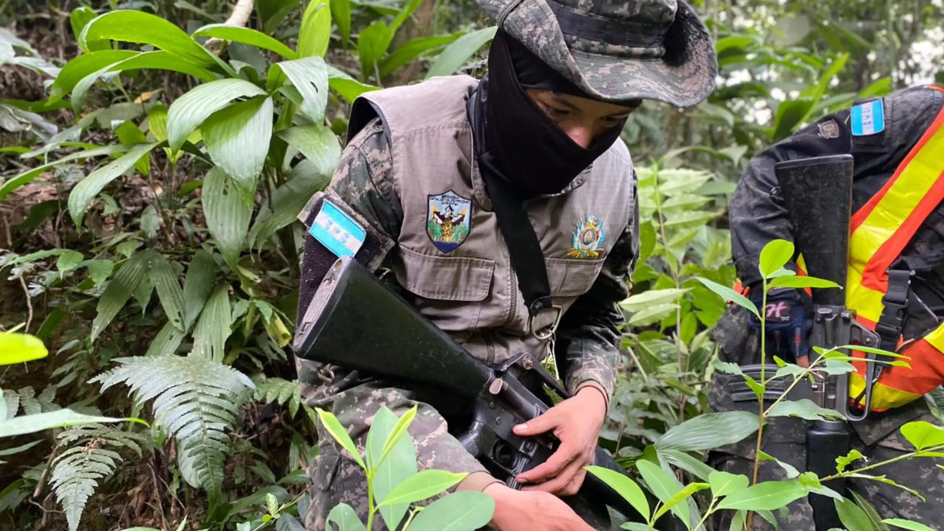 Una plantación de dos hectáreas de extensión con arbustos de hoja de coca, un vivero con dos mil plántulas de coca y una infraestructura básica  utilizada para almacenar precursores químicos, han sido aseguradas y localizadas en el sector Sur de San Marcos, La Masica, Atlántida y el sector norte de Olanchito.