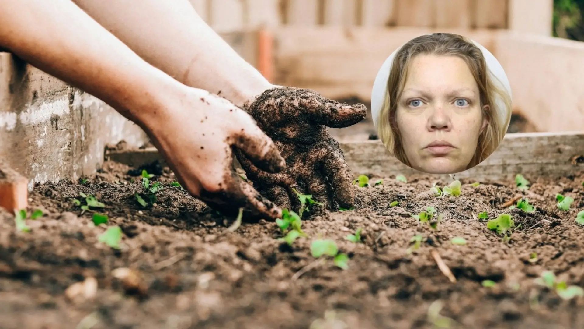 La maestra Fiona Beal, de 50 años de edad, mató a su novio, Nicholas Billingham, en 2022; en un diario escribió cómo asesinó y enterró a su pareja.