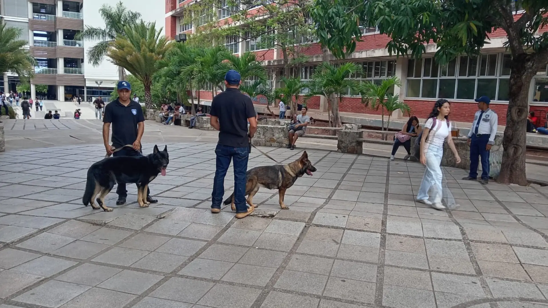 El rector de la máxima casa de estudios, a través de su cuenta de X ha manifestado que ya se encuentra coordinando monitoreos permanentes en la UNAH. Asimismo, control de los vendedores ambulantes con el fin de garantizar.