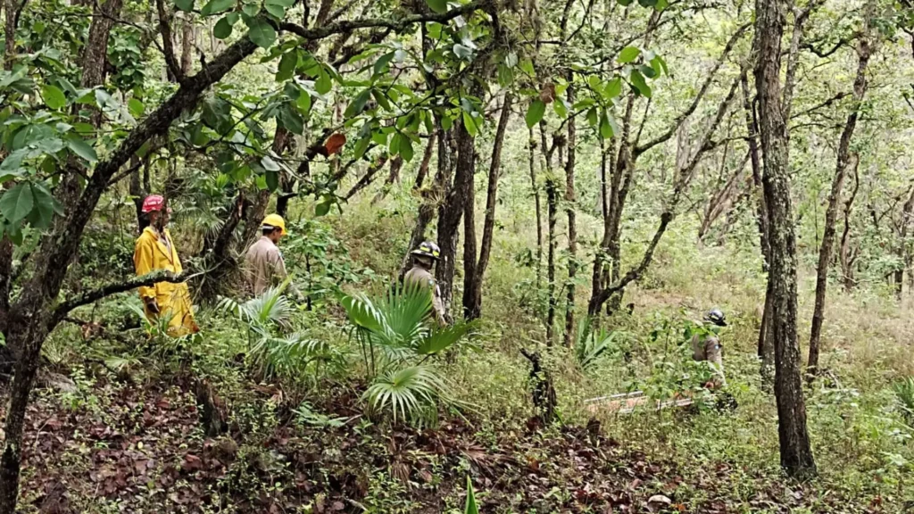 Rescatan cadáveres de jóvenes asesinados por miembros de la Pandilla 18 en zona montañosa de Tatumbla.