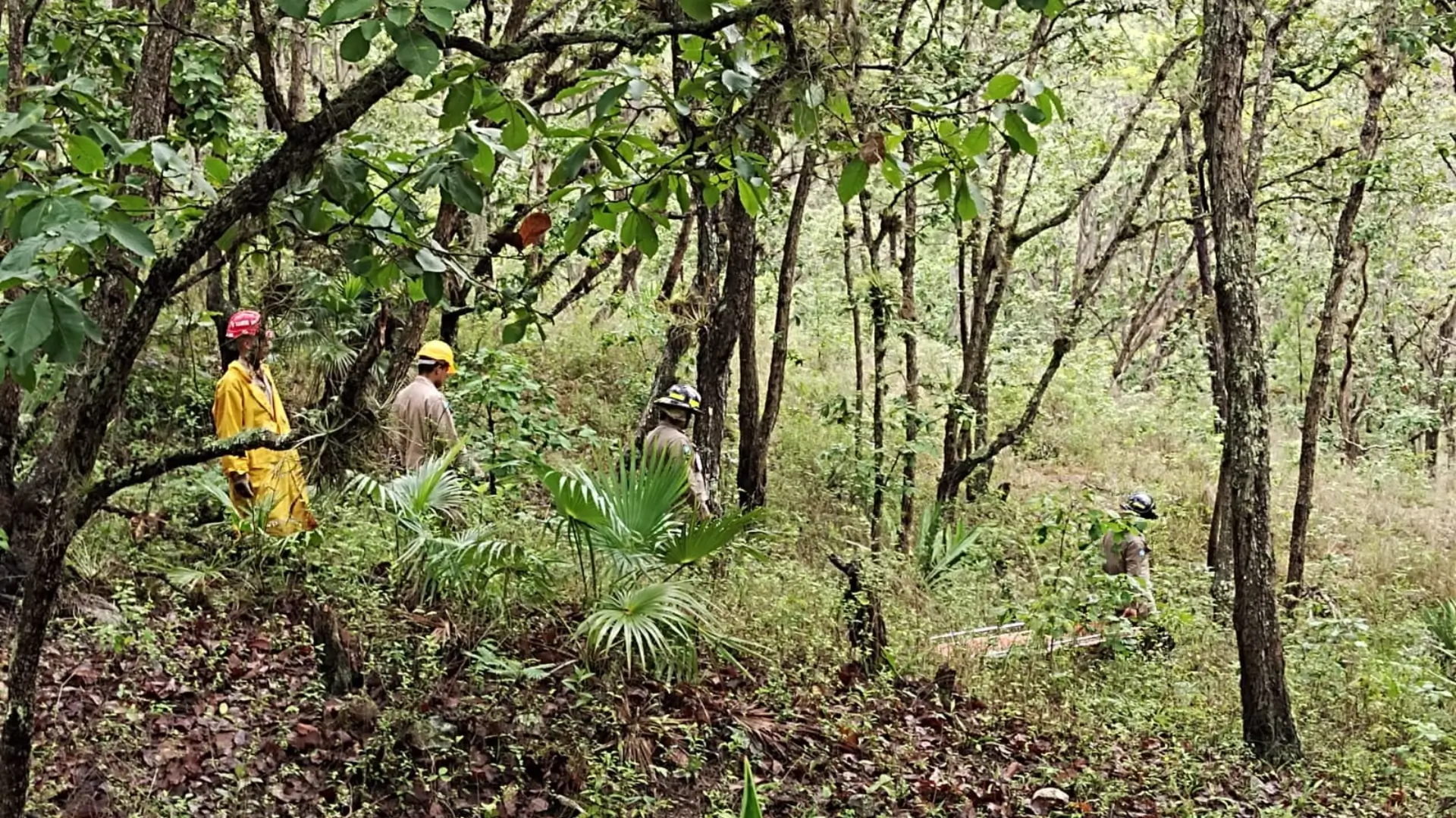 Rescatan cadáveres de jóvenes asesinados por miembros de la Pandilla 18 en zona montañosa de Tatumbla.