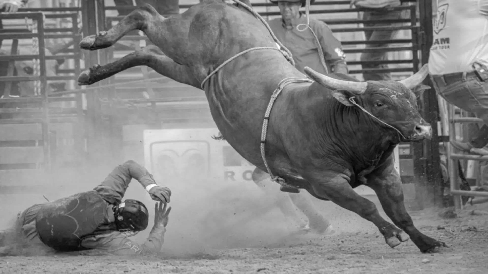 La edición 84 del ‘Sisters Rodeo’ fue opacada después de que un toro, de nombre, ‘Party Bus’, sorprendió con un escape que dejó a varios asistentes lesionados.