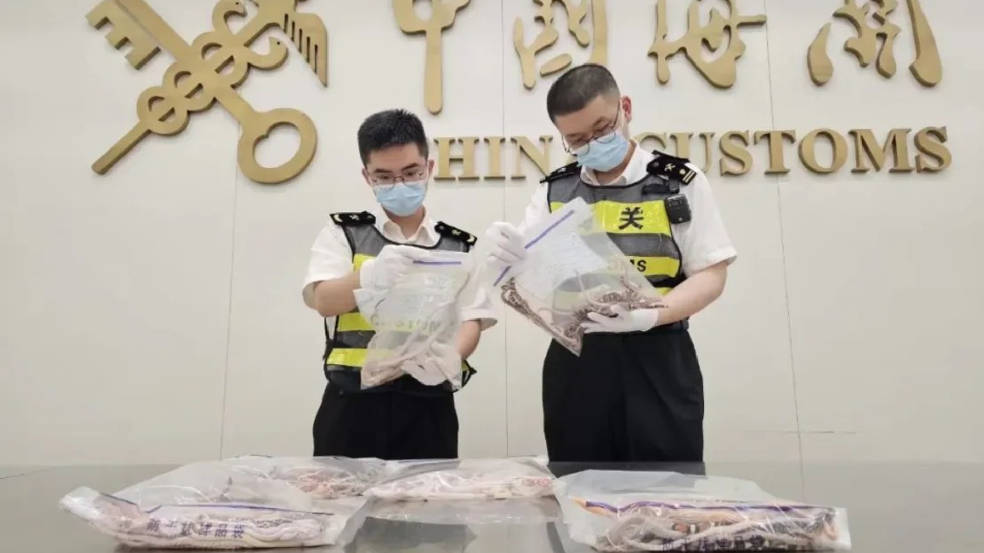 Detienen a hombre con serpientes dentro de su pantalón en un aeropuerto de China.