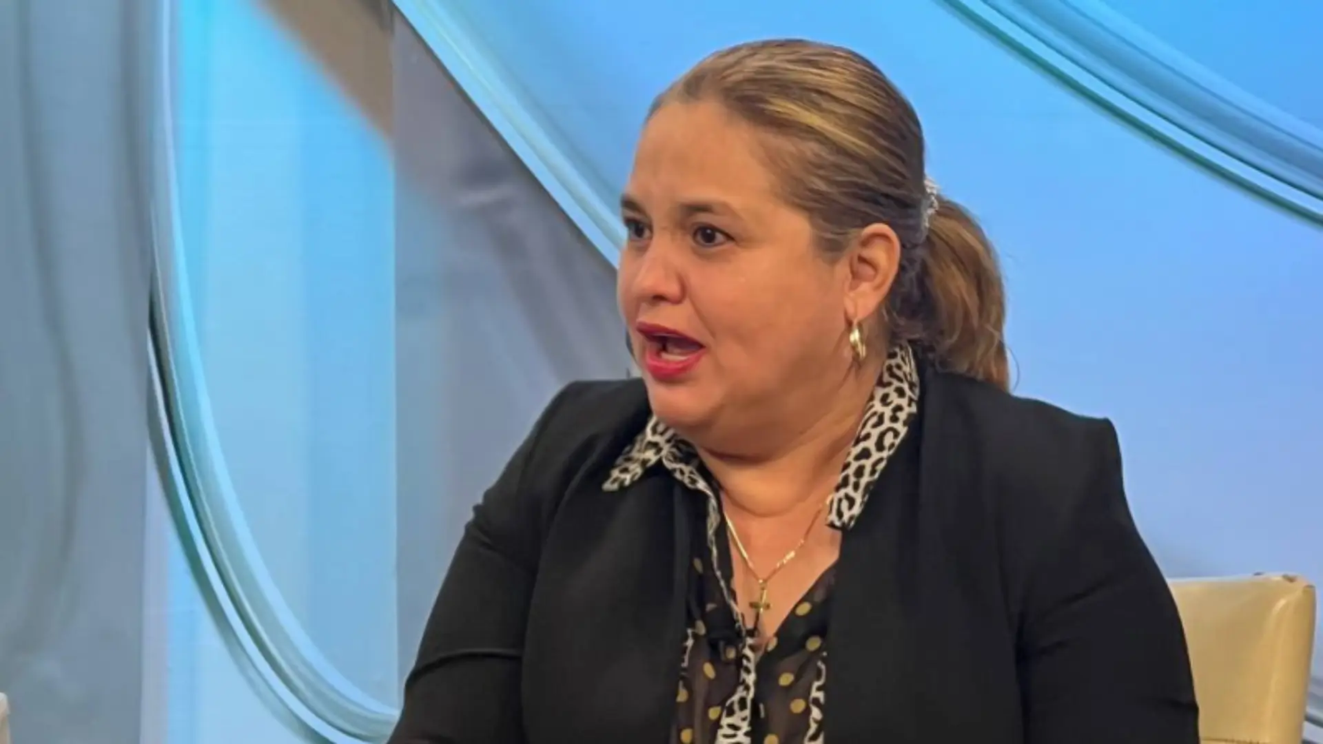 Julissa Villanueva denuncia despido de su equipo de trabajo en la Subsecretaria de Seguridad.