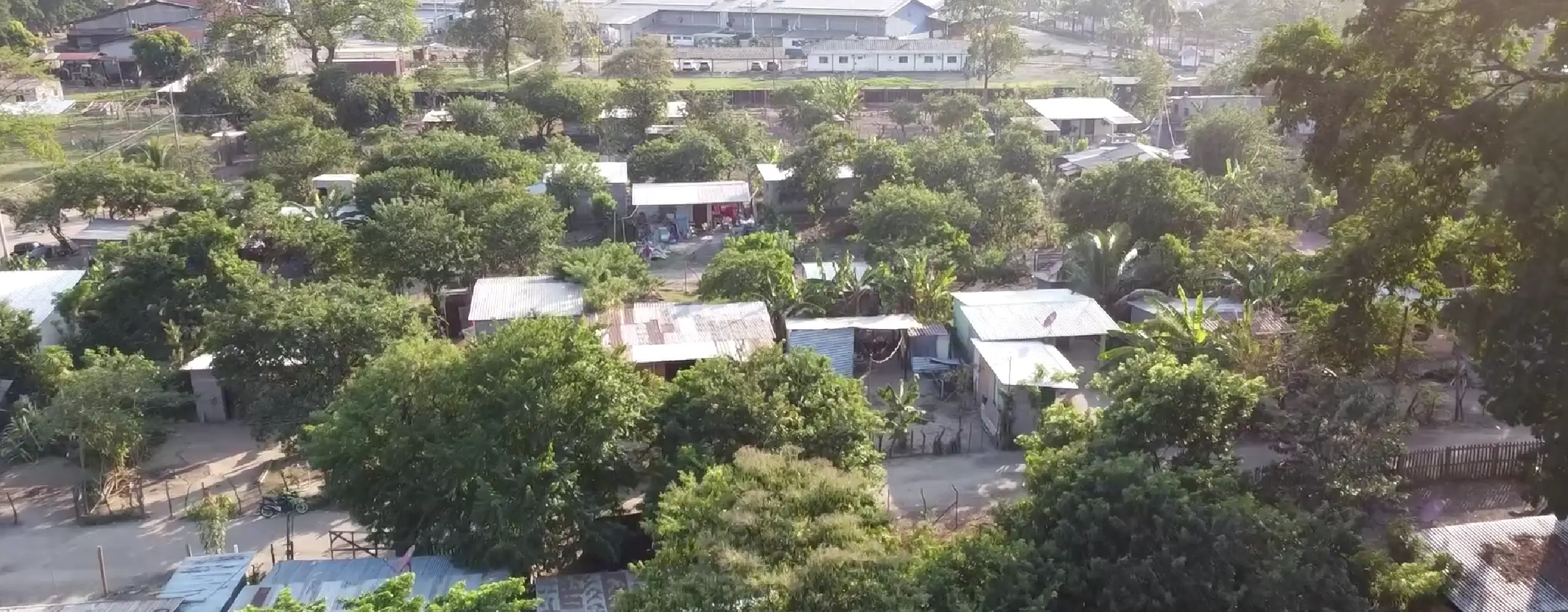 Apoderados legales de propietarios de tierras invadidas han señalado que algunos precandidatos están ofreciendo terrenos privados como parte de sus promesas de campaña.