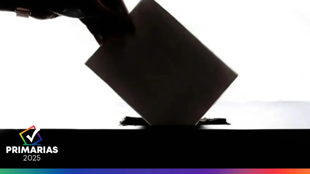 Según la Ley electoral son varias las razones por las que un voto se considera nulo en las elecciones primarias.