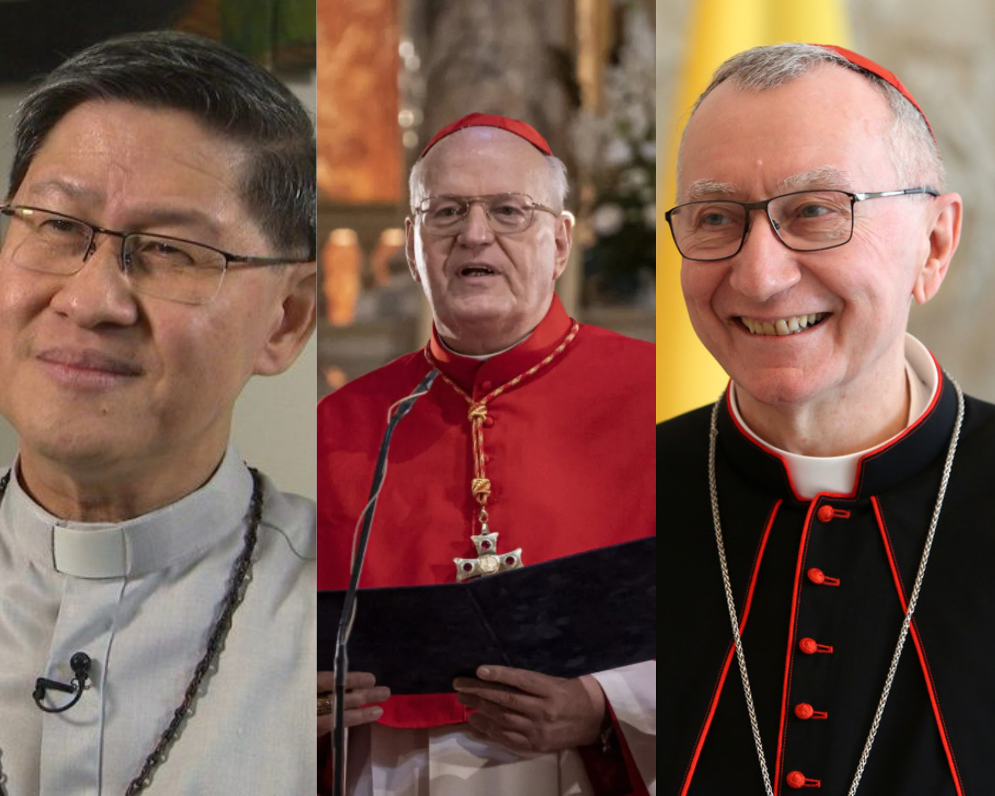 Posibles candidatos a papa