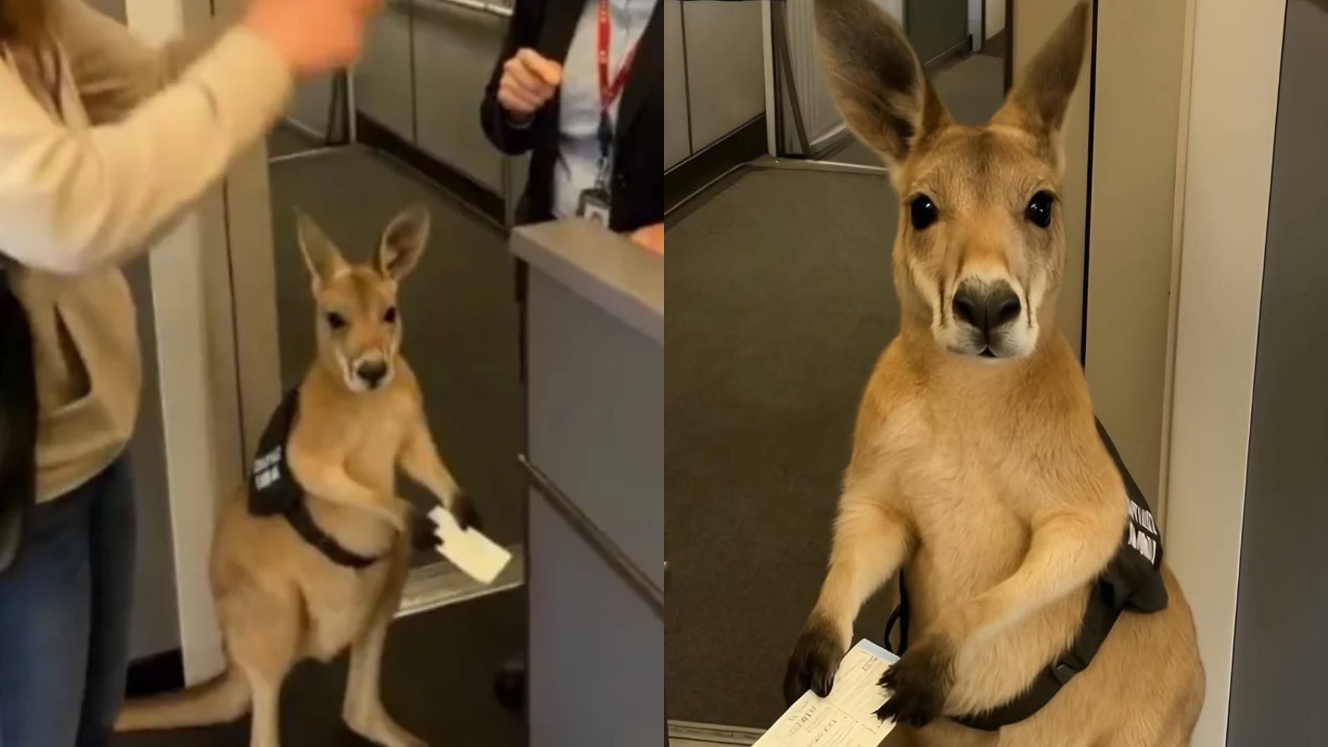 Inteligencia artificial: datos clave para identificar videos e imágenes