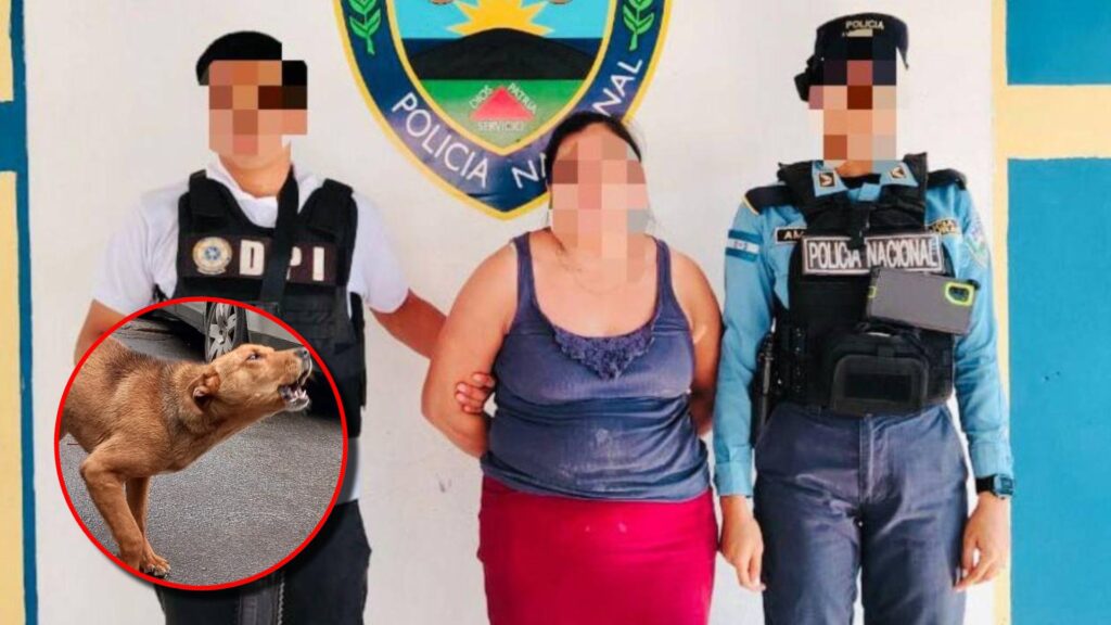 Crimen de hondureña: mató a su hijo y lo enterró en el patio