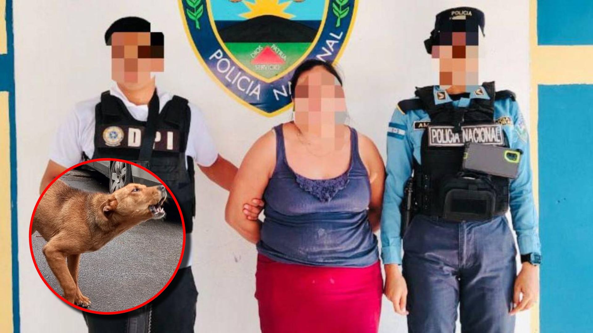 Crimen de hondureña: mató a su hijo y lo enterró en el patio