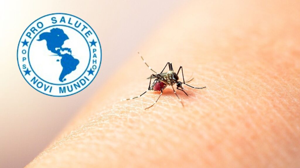 OPS alerta sobre preocupante aumento de casos de dengue en Honduras.