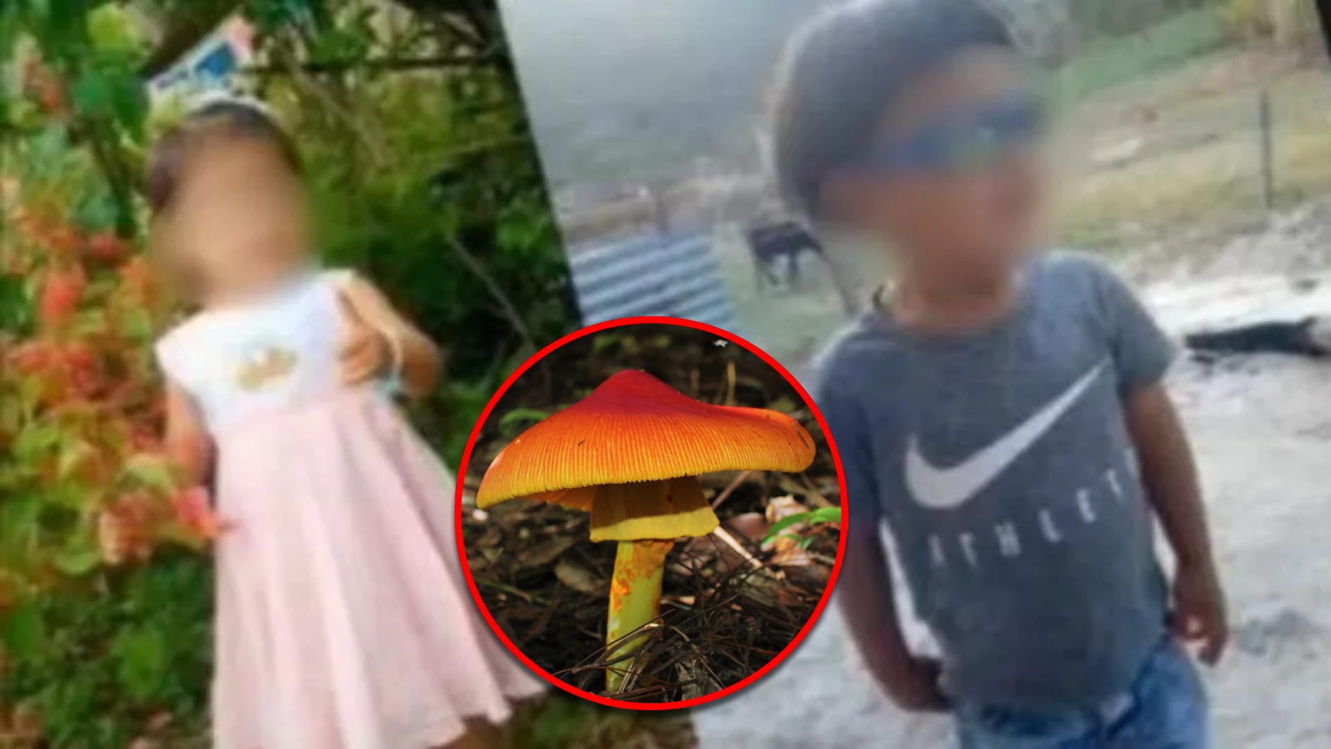 Lempira en alerta por muerte de cuatro menores con síntomas similares y causas desconocidas.