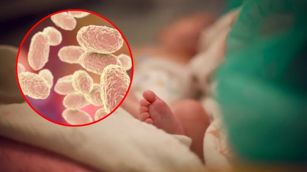 San Pedro Sula reporta un cuarto menor fallecido por tosferina: Esto es lo que debes saber para prevenirla