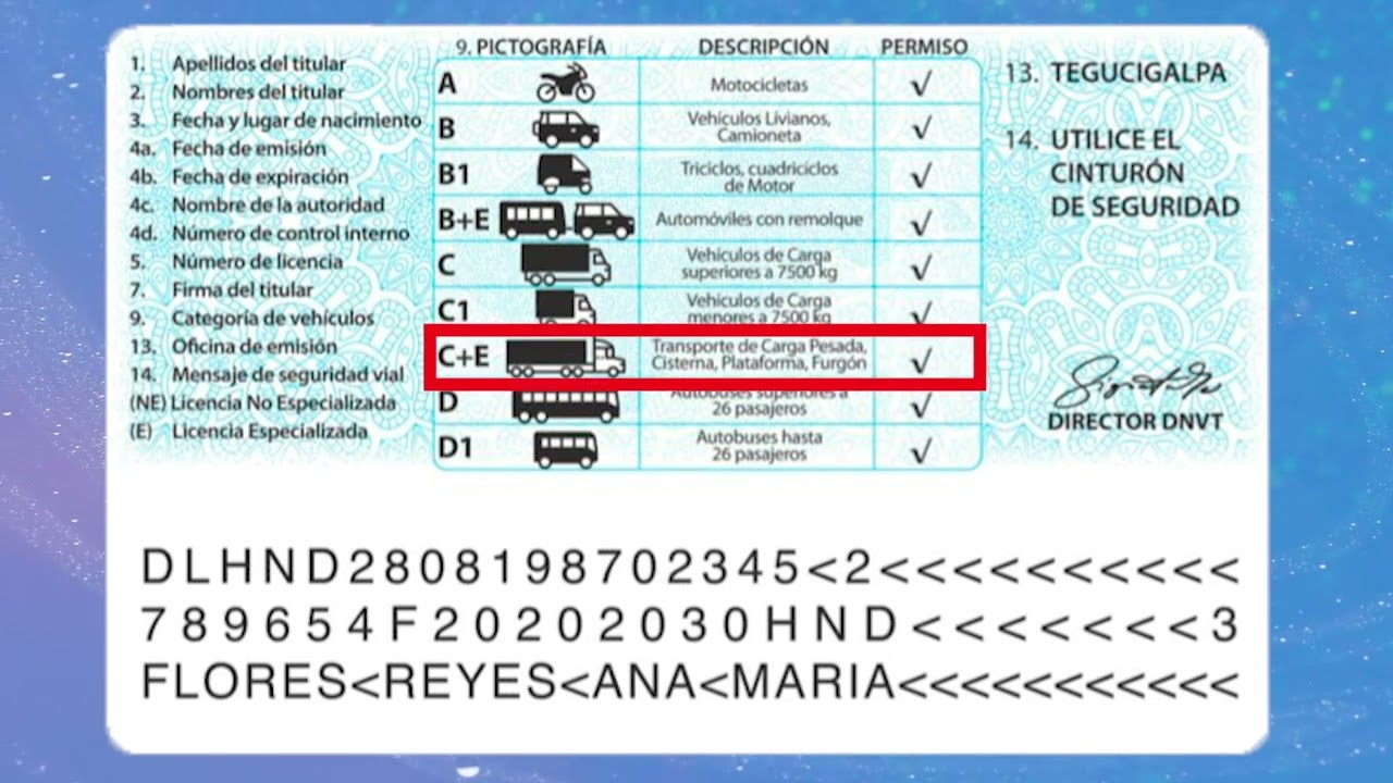 Foto cortesía: Licencias de conducir.
