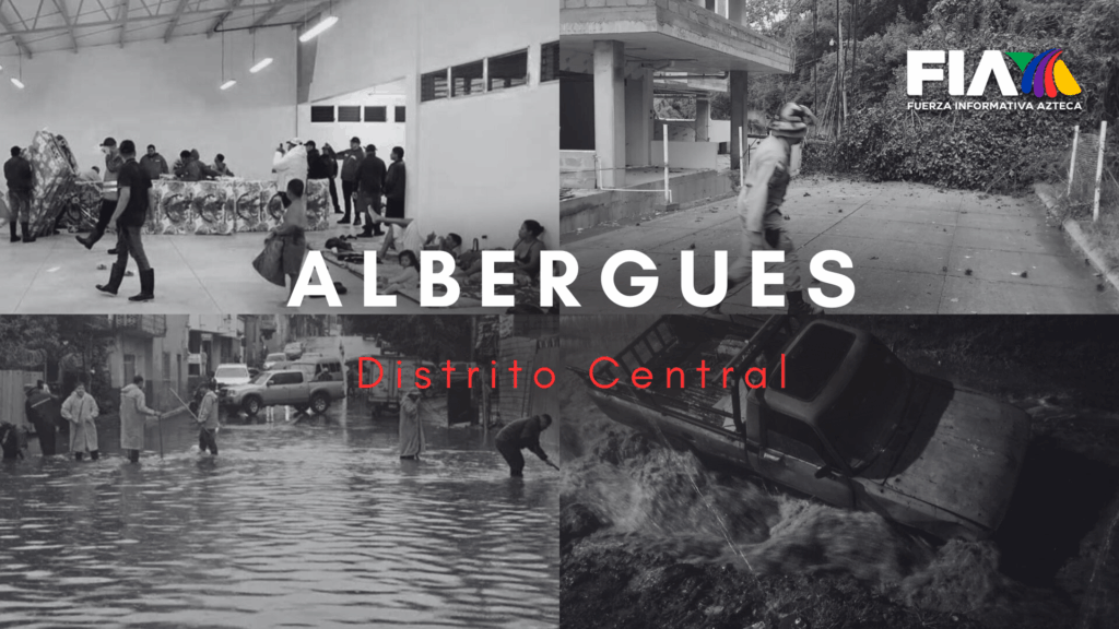 Mascotas afectadas por lluvias en el Distrito Central: albergue listo