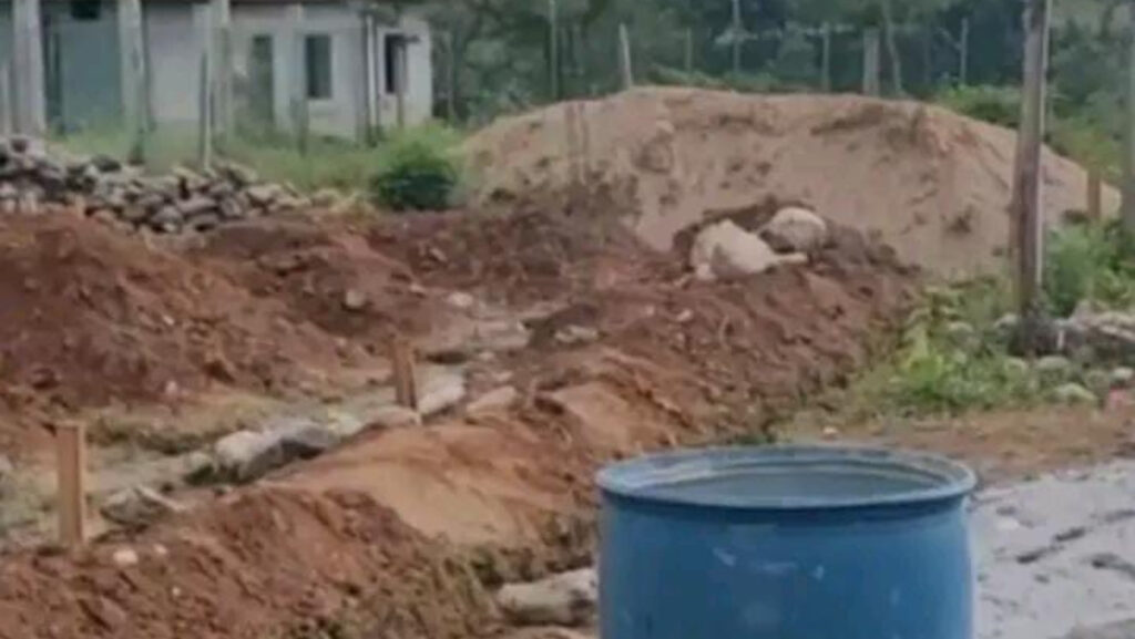 Masacre en Francisco Morazán: cuatro albañiles son ultimados