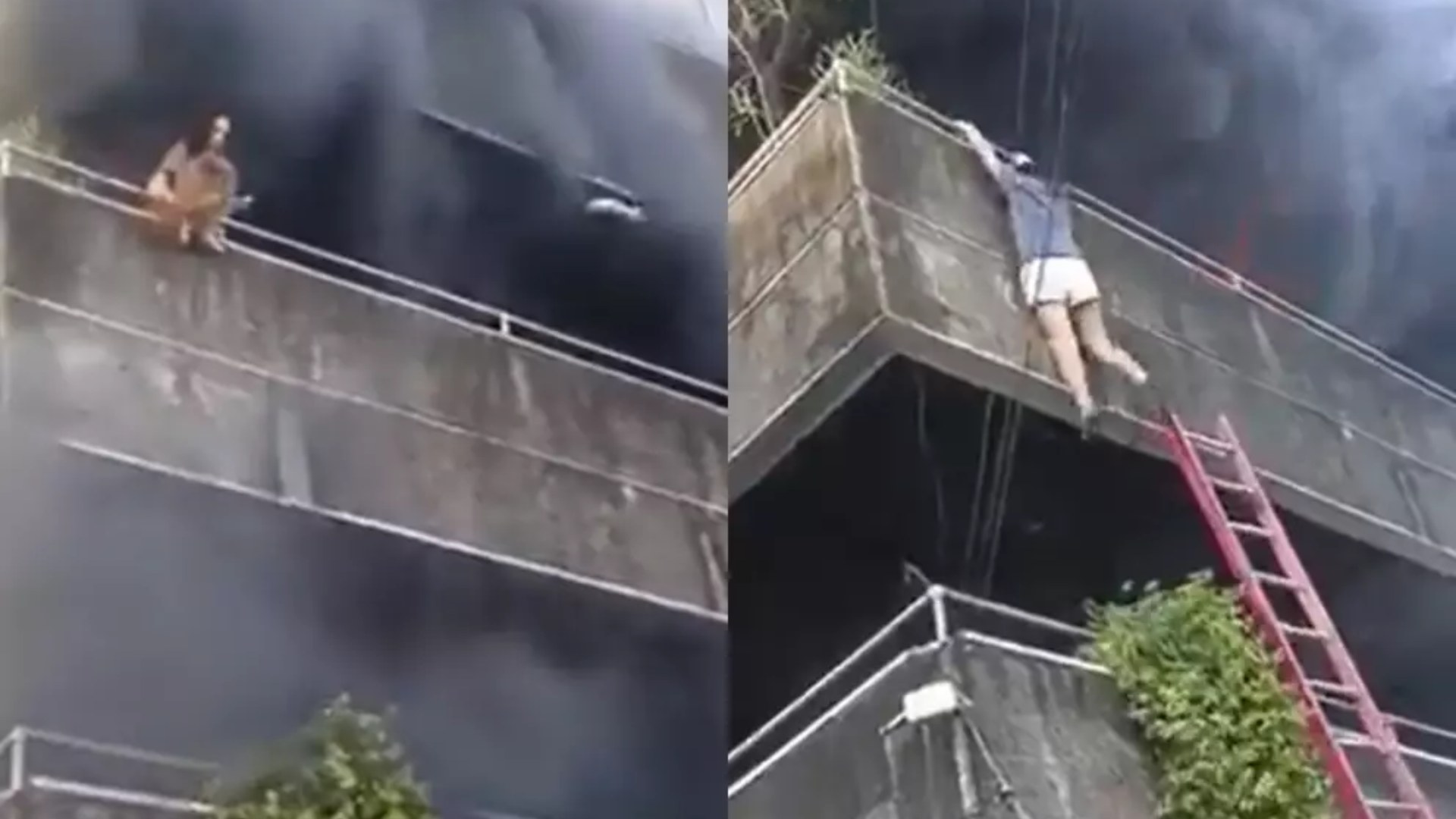 En incendio mujer arriesga su vida por salvar a sus perritos