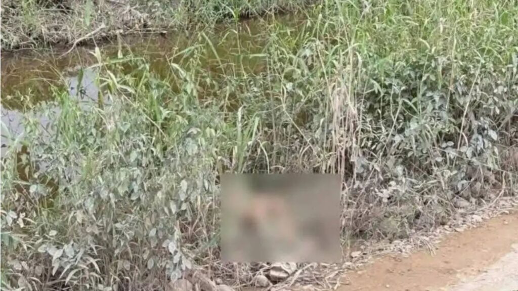 Crimen de Sindy Paz en La Ceiba: salió de viaje con sus amigas y fue asesinada en su cumpleaños