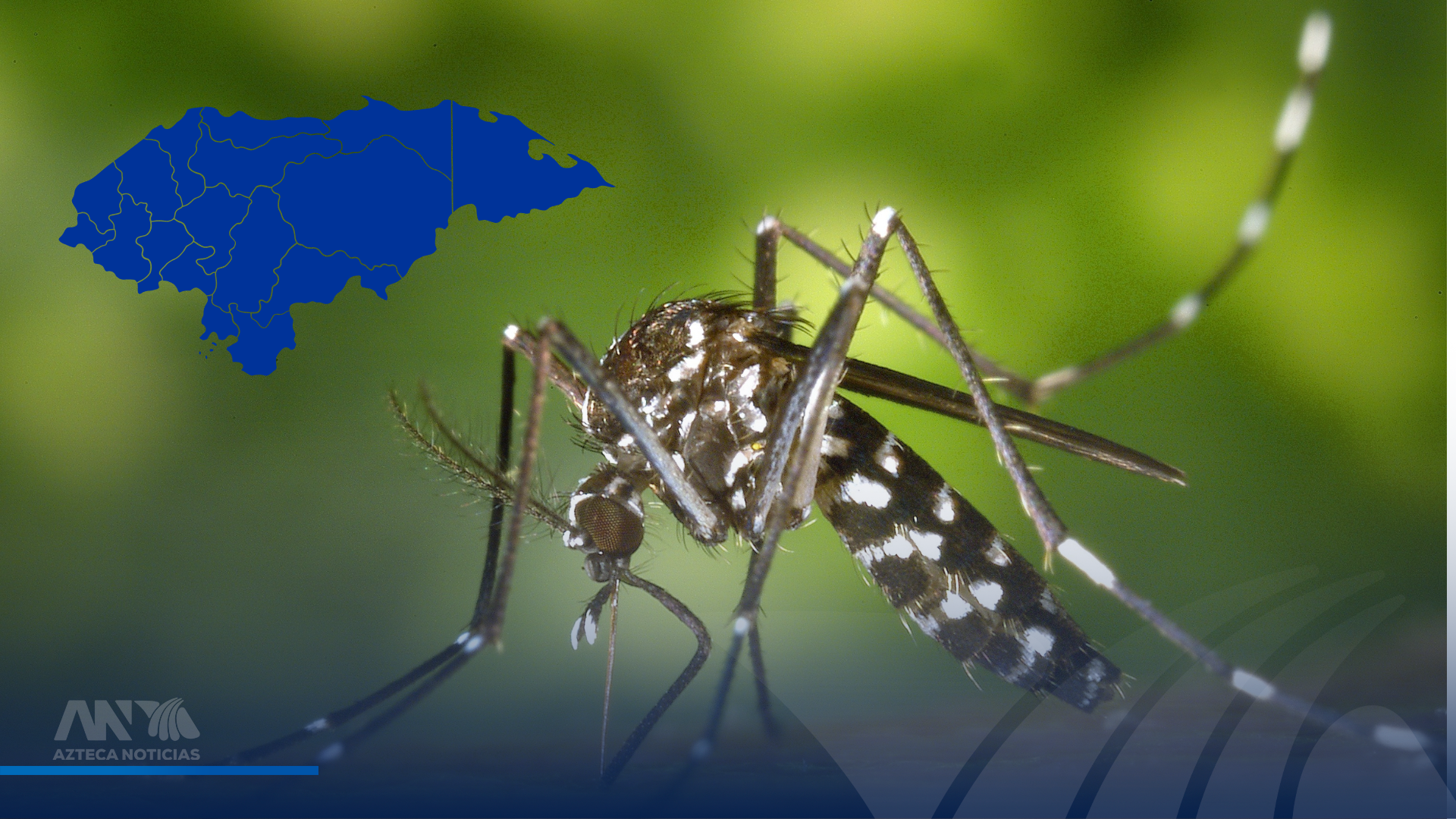 Primer caso de chikungunya en Honduras: ¿cómo llegó y qué síntomas presentó?