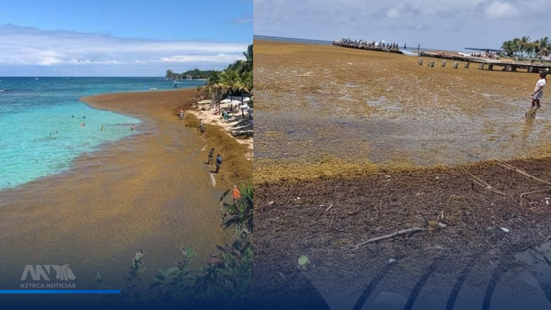 Sargazo invade playas de Omoa y pobladores piden intensificar limpieza