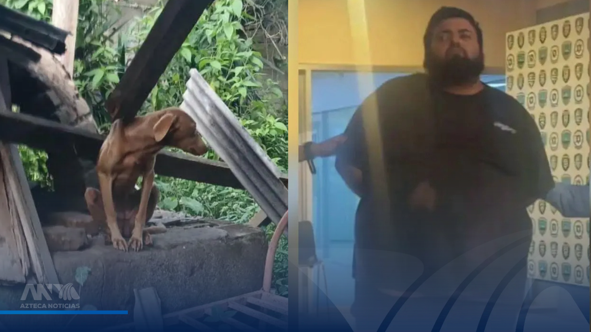 Detienen a vendedor de tacos en Siguatepeque por maltrato animal; investigan hallazgo de restos de perros