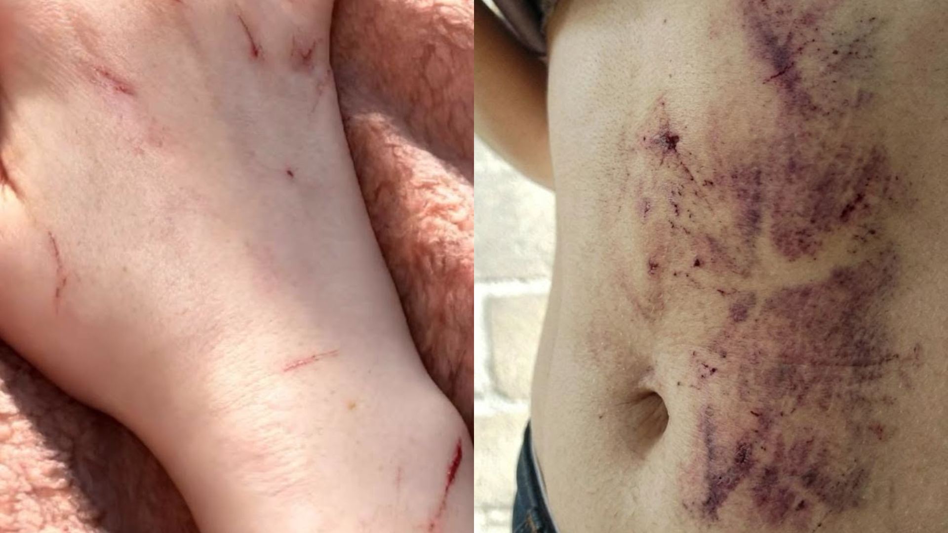 Hondureña habría usado inteligencia artificial para fingir su secuestro: estos son los delitos que enfrenta